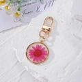 Detail of pink dried daisy flower preserved in circular resin keychain with gold hardware - Magenta Daisy