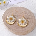Detailed macro view of gold-tone daisy resin earrings with dried flowers on wood stand - White Daisy