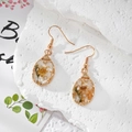 Gold wire wrapped drop earrings with yellow dried flowers and pearls in clear resin - Clear