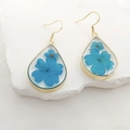 Detailed close-up of water drop earrings with blue dried flowers in gold resin frame - Earrings / Blue