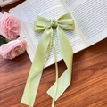 Barrette à nœud papillon en satin vert clair sur un livre français avec des roses - Vert