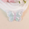 DIY accessory featuring 3D double-layered sequin butterfly in iridescent pale green and silver - Iridescent Gradient (#5)