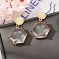 Chic hexagonal clear crystal drop earrings with textured gold-tone metal studs - Transparent Hexagon