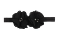 Vue détaillée de doubles fleurs en mousseline avec strass sur un bandeau noir pour bébé - Noir