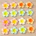 Colorful resin plumeria flower pendants with silver loops for DIY jewelry making - 10 Pieces Pack / Mixed Plumeria Style