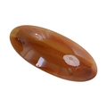 Elegant oval amber-colored acetate hair tie with a smooth polished tortoiseshell finish - 9cm / Oval Spring Clip / Amber