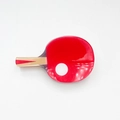 Haarklammer in Form eines roten Tischtennisschlägers aus Acryl mit Holzgriff - Ping-Pong-Schläger