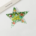 Green star hair clip with Merry Christmas text and festive glitter reindeer motifs - 10.1cm / Christmas Greeting Style / Green