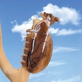 Molla per capelli creativa in acetato a forma di bassotto con motivo ambra - Canguro (10.1cm)
