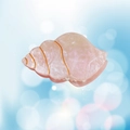 Pince à cheveux coquillage rose pailletée avec lignes dorées pour coiffure élégante - Rose 6.4cm