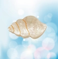 Élégante pince à cheveux coquillage nacré avec paillettes dorées et design océan - Crème 6.4cm