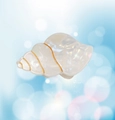 Pince à cheveux en forme de coquillage blanc nacré avec des détails dorés élégants - Blanc 6.4cm