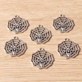 Détail macro de pendentifs en alliage d'argent toile d'araignée et crâne pour bijoux DIY - Toile d'araignée
