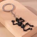 Macro detail of glossy black skull keychain with shiny silver metal ring and chain - Black