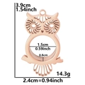 Rose gold owl-shaped stainless steel locket pendant with 1.5cm glass inner diameter - Rose Gold-Thick