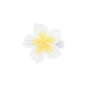 Handmade white flower hair clip with yellow center for girls on a seamless nylon band - Plumeria Covered Hair Clip (MC5012)