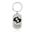 Brushed stainless steel Pisces zodiac keychain with engraved constellation sign and dates - Pisces