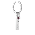 Llavero de acero inoxidable con piedra de nacimiento roja de febrero y barra de metal - Febrero