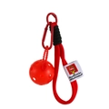 Mini red pickleball keychain with nylon rope and carabiner for backpacks and sports gifts - Small Ball / Red