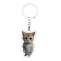 Schattige acryl sleutelhanger met oranje kat en metalen ring voor tassenaccessoires - Zielige Meme Kat (1)