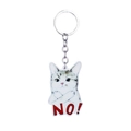 Grappige acryl katten sleutelhanger met NO tekst ontwerp en metalen ring voor tassen - No Gebaar Kat (3)
