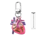 Detail showing 0.25cm thickness and anatomical heart structure on acrylic keychain - Heart Style 1 (1)