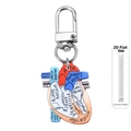 Detail view of 2D anatomical heart keychain showing 0.25cm thickness and acrylic material - Heart Style 2 (2)