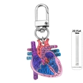 Anatomical heart diagram keychain with medical labeling and silver metal clasp - Heart Style 4 (4)