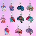 Collezione di portachiavi a tema infermiere con diagrammi anatomici di cuore e cervello - Set Completo Anatomico da 11 Pezzi