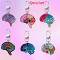 Set di 6 portachiavi in acrilico con anatomia del cervello e diagrammi medici - Set da 6 Cervelli