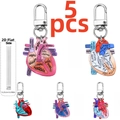Set da 5 pezzi di portachiavi a cuore anatomico in acrilico con dettagli medici - Set da 5 Cuori