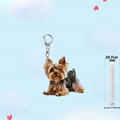 Cute 2D acrylic Yorkshire Terrier dog keychain with durable silver metal lobster clasp hook - Yorkshire Style 1 (1)