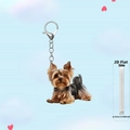 Detail view of the 0.25cm thick 2D acrylic Yorkshire Terrier dog keychain with metal clasp - Yorkshire Style 4 (4)