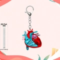 Detail view of 0.25cm thick 2D acrylic heart keychain with anatomical labels and red-blue colors - Heart Anatomy Style 1