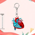2D acrylic anatomical heart keychain for nurses with artery and chamber labels - Heart Anatomy Style 2