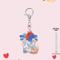 Detail view of 2D acrylic heart keychain with anatomical labels and silver lobster clasp - Pink Anatomical Heart (2)