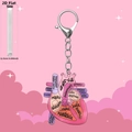 Detail view of acrylic heart keychain with anatomical labels and thickness measurement - Pink Anatomical Style A
