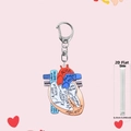 Nurse themed anatomical heart keychain with acrylic 2D design and 0.25cm thickness - Multicolor Anatomical Heart (4)