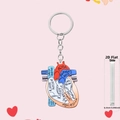 Detail showing anatomical heart keychain with labeled aorta and vena cava parts - Structural Anatomical Heart (6)