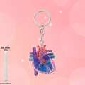 Détail du porte-clés cœur en acrylique 2D avec des étiquettes médicales et design fin - Style d'anatomie du cœur médical (6)