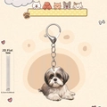 Detalle del llavero de perro Shih Tzu en acrílico plano de 0,25cm con cierre de langosta - Estilo Shih Tzu de Frente (2)