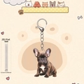 Detaillierte Nahaufnahme eines 2D-Acryl-Schlüsselanhängers mit realistischer Bulldoggen-Textur - Sitzende Bulldogge Stil A (1)