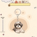 Cute 2D Shih Tzu acrylic keychain for backpacks with 0.25cm thickness detail - Cute Shih Tzu Style (7)