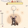 Vue détaillée du porte-clés voiture 2D en acrylique Bouledogue Français de 0,25 cm - Style Bouledogue À Tache Blanche F (6)