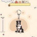 Border Collie 2D flat acrylic hanging ornament for car interior and pet keychain decoration - Staring Style (6103235007454)