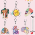 6er-Set Acryl-Schlüsselanhänger mit anatomischem Herz, Gehirn und Lunge Motiven - Medizinische Organe Komplettset Kollektion