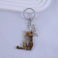 Detail of orange tabby cat keychain with silver fishbone charm on white texture - Orange Tabby Kitten Style
