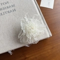 Handmade creamy white silk organza flower hair clip with delicate beaded center - White