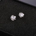 Macro de boucles d'oreilles en argent S925 avec zircons étincelants dans leur écrin - Rose (Argent)