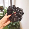 Schwarzes Organza-Haargummi mit Blumen-Flockmuster in der Hand vor hellem Hintergrund - Schwarz